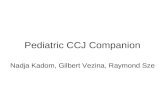 Pediatric CCJ Companion Nadja Kadom, Gilbert Vezina, Raymond Sze.