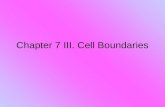 Chapter 7 III. Cell Boundaries. All cells have a _____________________________and some have a cell wall Cell membrane.