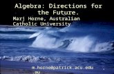 1 Algebra: Directions for the Future. Marj Horne, Australian Catholic University m.horne@patrick.acu.edu.au.