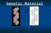 Genetic Material. The Plant Cell Nucleic acids 1.Ribonucleic acids: RNA 2.Deoxyribonucleic acids: DNA, the genetic blueprint of life RNA and DNA are.