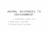 ANIMAL RESPONSES TO ENVIRONMENT 2 methods used viz 1.Nervous system 2.Endocrine system.