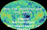 How the Universe got its Spots Edmund Bertschinger MIT Department of Physics.