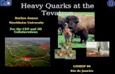 1 Heavy Quarks at the Tevatron CDF DO Bottom Barbro Åsman Stockholm University For the CDF and D 0 Collaborations TOP Proton LISHEP 06 Rio de Janeiro.