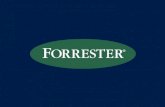 Julie Meringer Group Director Forrester Research Ltd. eCommerce Next Wave: Productivity and Innovation