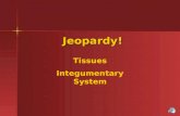 Jeopardy! Jeopardy! Tissues Integumentary System.