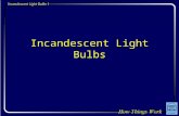 Incandescent Light Bulbs 1 Incandescent Light Bulbs