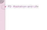 P2- Radiation and Life. Electromagnetic Radiation Electromagnetic radiation transfers energy is ‘packets’ (photons) Each photon carries energy, the amount.
