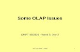Some OLAP Issues CMPT 455/826 - Week 9, Day 2 Jan-Apr 2009 – w9d21.
