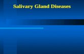 Salivary Gland Diseases. Parotid gland Submandibular gland Sublingual gland Salivary Glands Overview.