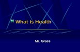 What is Health Mr. Gross. If you had three wishes what would you wish for?