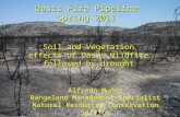Oasis Fire Pipeline Spring 2011 Soil and Vegetation effects of Oasis Wildfire followed by drought Alfredo Muñoz Rangeland Management Specialist Natural.