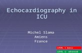 Echocardiography in ICU Michel Slama AmiensFrance LEVEL 1 basic LEVEL 2: advanced.