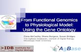 From Functional Genomics to Physiological Model: Using the Gene Ontology Fiona McCarthy, Shane Burgess, Susan Bridges The AgBase Databases, Institute of.