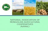 NATIONAL ASSOCIATION OF MONGOLIAN AGRICULTURAL COOPERATIVES /NAMAC