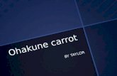 Ohakune carrot BY TAYLOR. Where is the Carrot in Ohakune The Carrot in Ohankune is in the main town.