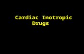 3/24/04 Cardiac Inotropic Drugs. 3/24/04 Pathogenesis of congestive heart failure A number of compensatory mechanisms come into play during the development.