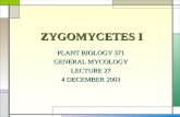 ZYGOMYCETES I PLANT BIOLOGY 371 GENERAL MYCOLOGY LECTURE 27 4 DECEMBER 2003.