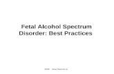 2008  Fetal Alcohol Spectrum Disorder: Best Practices.