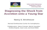 Diagnosing the Shock from Accretion onto a Young Star Nancy S. Brickhouse Harvard-Smithsonian Center for Astrophysics Collaborators: Steve Cranmer, Moritz.