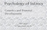 Messinger Genetics and Prenatal Development PSY344W D. Messinger, Ph.D. Psychology of Infancy.