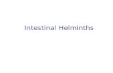 Intestinal Helminths. Nematodes: Location in the human body Intestinal nematodes Tissue nematodes