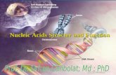 Nucleic Acids Structer and Function. Nucleic acids structer and function Biomedical Importance This polymeric molecule, deoxyribonucleic acid (DNA), is.