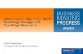 1 What’s new in OpenEdge 10.2B OpenEdge Management OpenEdge Replication Libor Laubacher Principal TSE, Progress Software.