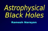 Ramesh Narayan. What Is a Black Hole? Black Hole: A remarkable prediction of Einstein’s General Theory of Relativity – represents the victory of gravity.