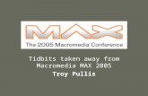 Tidbits taken away from Macromedia MAX 2005 Troy Pullis.