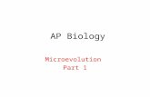 AP Biology Microevolution Part 1. Alleles are differing versions of a gene. – bb-blue – BB/Bb brown Most organisms are diploid in terms of genetic content.