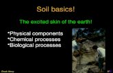 UWUW C. Henry Soil basics! The excited skin of the earth! Physical components Chemical processes Biological processes Chuck Henry.