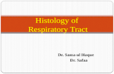 Dr. Sama ul Haque Dr. Safaa Histology of Respiratory Tract.