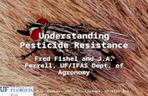 Understanding Pesticide Resistance Fred Fishel and J.A. Ferrell, UF/IFAS Dept. of Agronomy P.G. Koehler and J.L. Castner, UF/IFAS Doc. SP121.