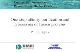 One-step affinity purification and processing of fusion proteins Philip Bryan.