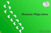 Index Human Migration. Index: 1. Definition of migration 2. Number of international immigration and emigration 1950-1990 1990-2012 3. Directions of international.