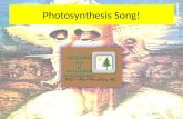 Photosynthesis Song! 6.11 The Mechanism of Photosynthesis Text Book page 133.