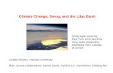 Climate Change, Smog, and the Lilac Bush Loretta Mickley, Harvard University Main current collaborators: Daniel Jacob, Cynthia Lin, David Rind, Shiliang.