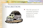 EXCRETION The life process of excretion involves removal of waste products of metabolism-