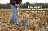 Good nutrient management begins with routine soil testing.