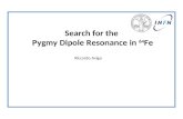 Search for the Pygmy Dipole Resonance in 64 Fe Riccardo Avigo.