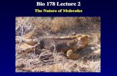 Bio 178 Lecture 2 The Nature of Molecules. Reading Chapter 2 Quiz Material Questions on P 34 Chapter 2 Quiz on Text Website (