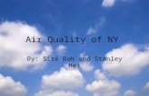 Air Quality of NY By: Siré Bah and Stanley Mei. Why is Air Quality Important? O.o Why is Air Quality Important? O.o ♦ It is part of your everyday life.
