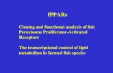FPPARs Cloning and functional analysis of fish Peroxisome Proliferator-Activated Receptors The transcriptional control of lipid metabolism in farmed fish.