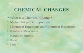CHEMICAL CHANGES §What is a Chemical Change? §Molecules and Compounds §Chemical Equations and Chemical Reactions §Kinds of Reactions §Kinds of Bonds §Rust.
