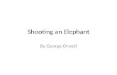 Shooting an Elephant By George Orwell. Biographical Information George Orwell- born in 1903 in Motihari, Bihar, in British India but moved to England.