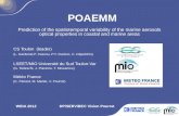 POAEMM Prediction of the spatiotemporal variability of the marine aerosols optical properties in coastal and marine areas CS Toulon (leader) (L. Gardenal,P.