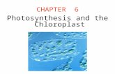 CHAPTER 6 Photosynthesis and the Chloroplast. Introduction (1) The earliest living organisms were heterotrophs, which survived on nutrients from the environment.