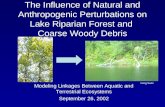 The Influence of Natural and Anthropogenic Perturbations on Lake Riparian Forest and Coarse Woody Debris Modeling Linkages Between Aquatic and Terrestrial.