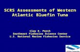SCRS Assessments of Western Atlantic Bluefin Tuna Clay E. Porch Southeast Fisheries Science Center U.S. National Marine Fisheries Service.