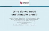 Why do we need sustainable diets? Alison Burton Shepherd. PGCAP FHEA R Nutr MSc, BSc(Hons) RGN TCH Queens Nurse Senior Lecturer in Adult Nursing De Montfort.